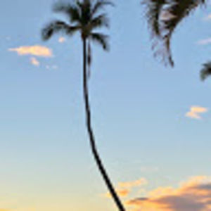 Meet your Posher, Paul